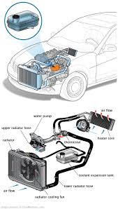 See C2439 repair manual